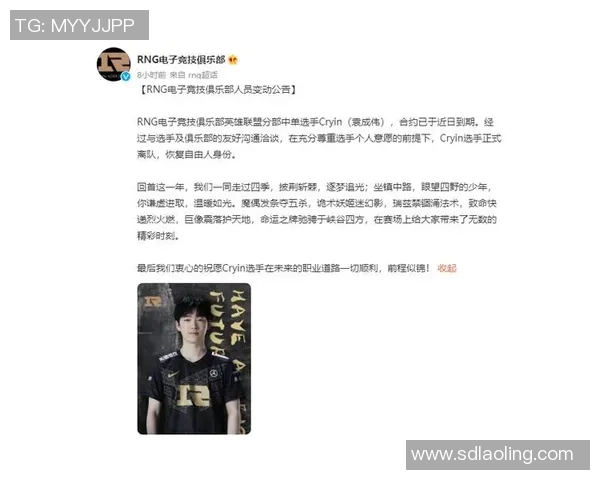 RNG战队选手个人能力深度分析与精彩表现回顾